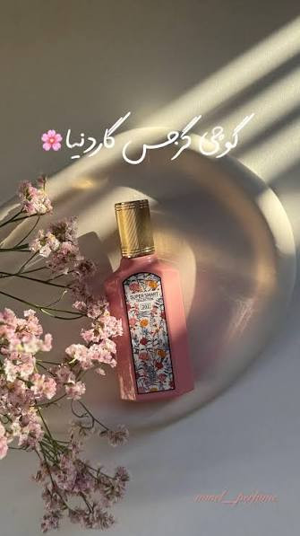 گوچی فلورا گایدنس
